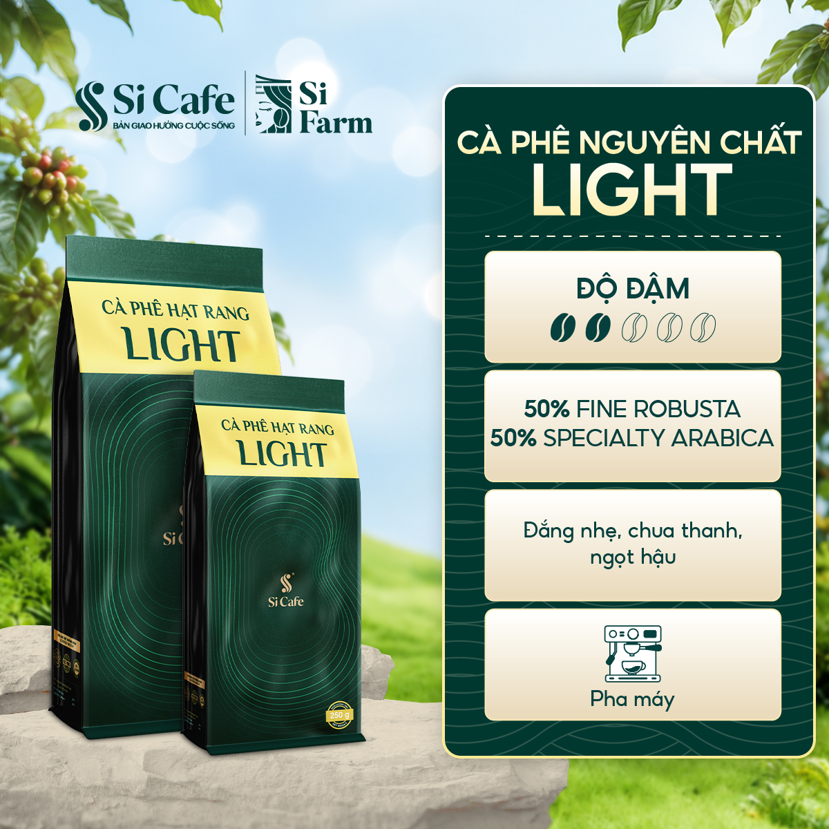 Cà Phê Nguyên Chất Light (50% Fine Robusta x 50% Specialty Arabica)