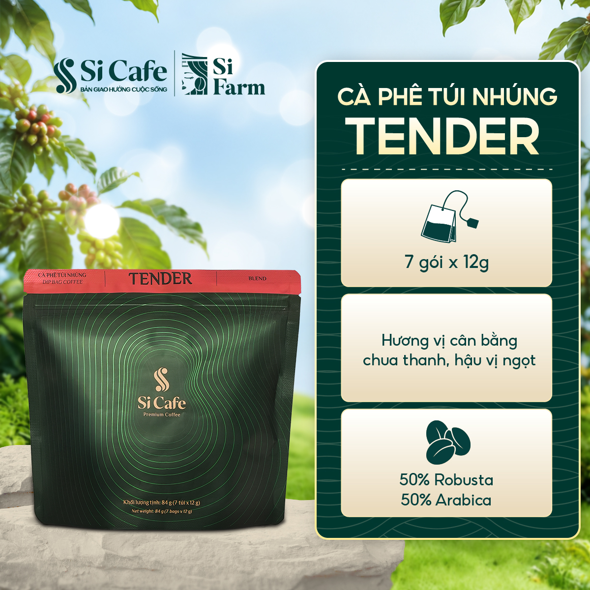 Cà Phê Túi Nhúng Tender (50% Robusta x 50% Arabica)