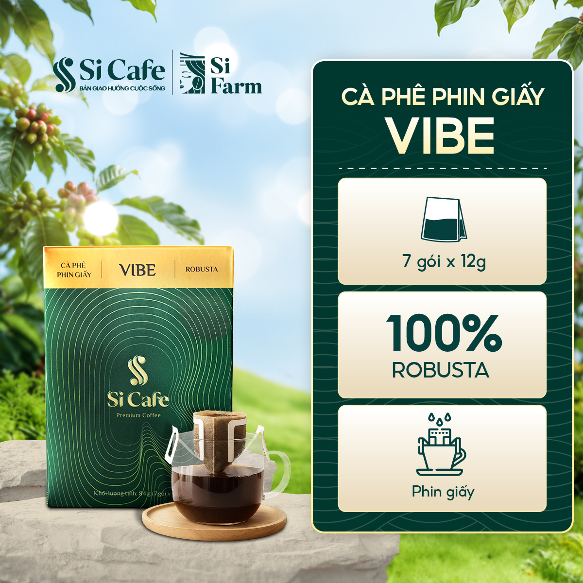 Cà Phê Phin Giấy Vibe 100% Robusta