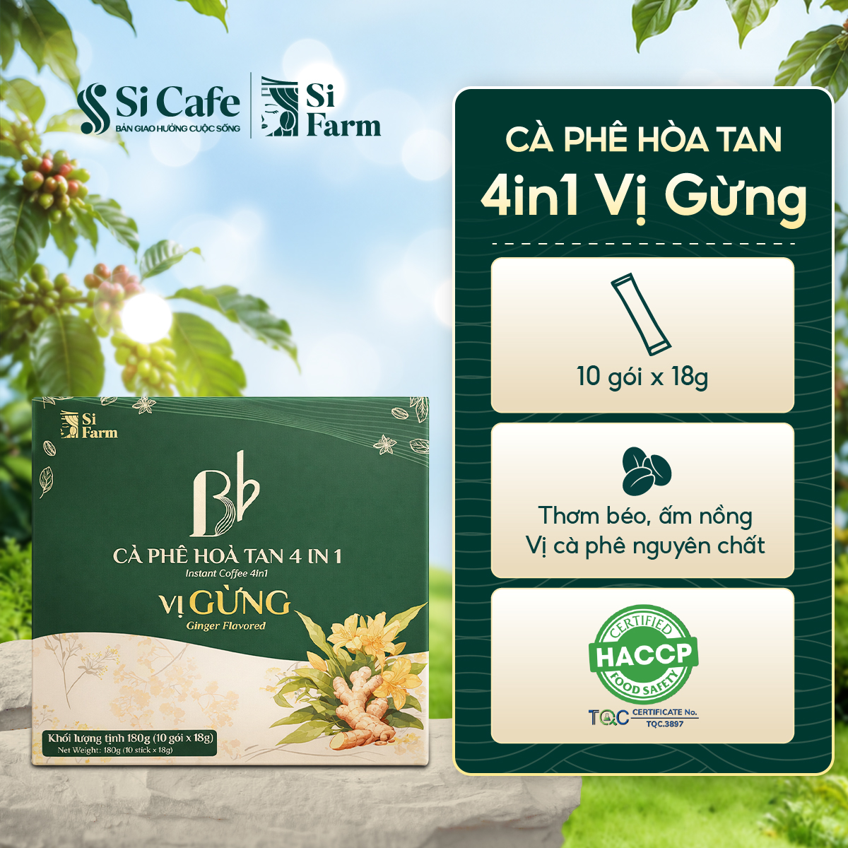 Cà Phê Hòa Tan 4in1 Vị Gừng - 10 gói/Hộp x 18g
