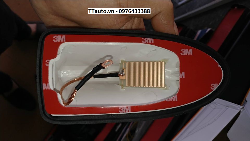 ĂNG TEN VÂY CÁ
