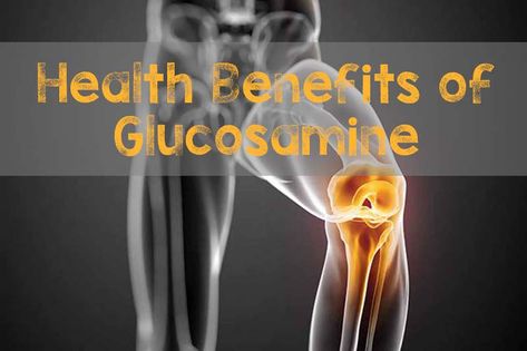 Thông tin về các nghiên cứu Glucosamine