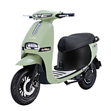 XE MÁY ĐIỆN  GOGO FIONA