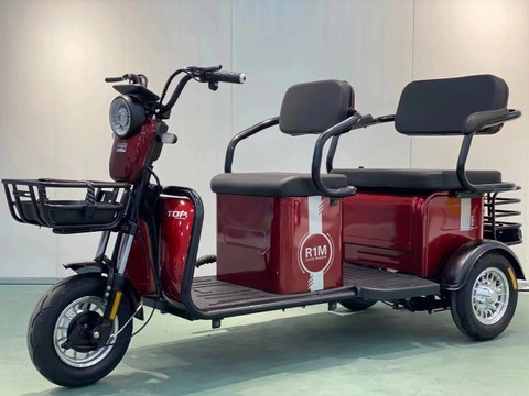 XE ĐIỆN 3 BÁNH TẢI THÙNG V1