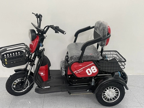 XE ĐIỆN 3 BÁNH CLASSIC 08