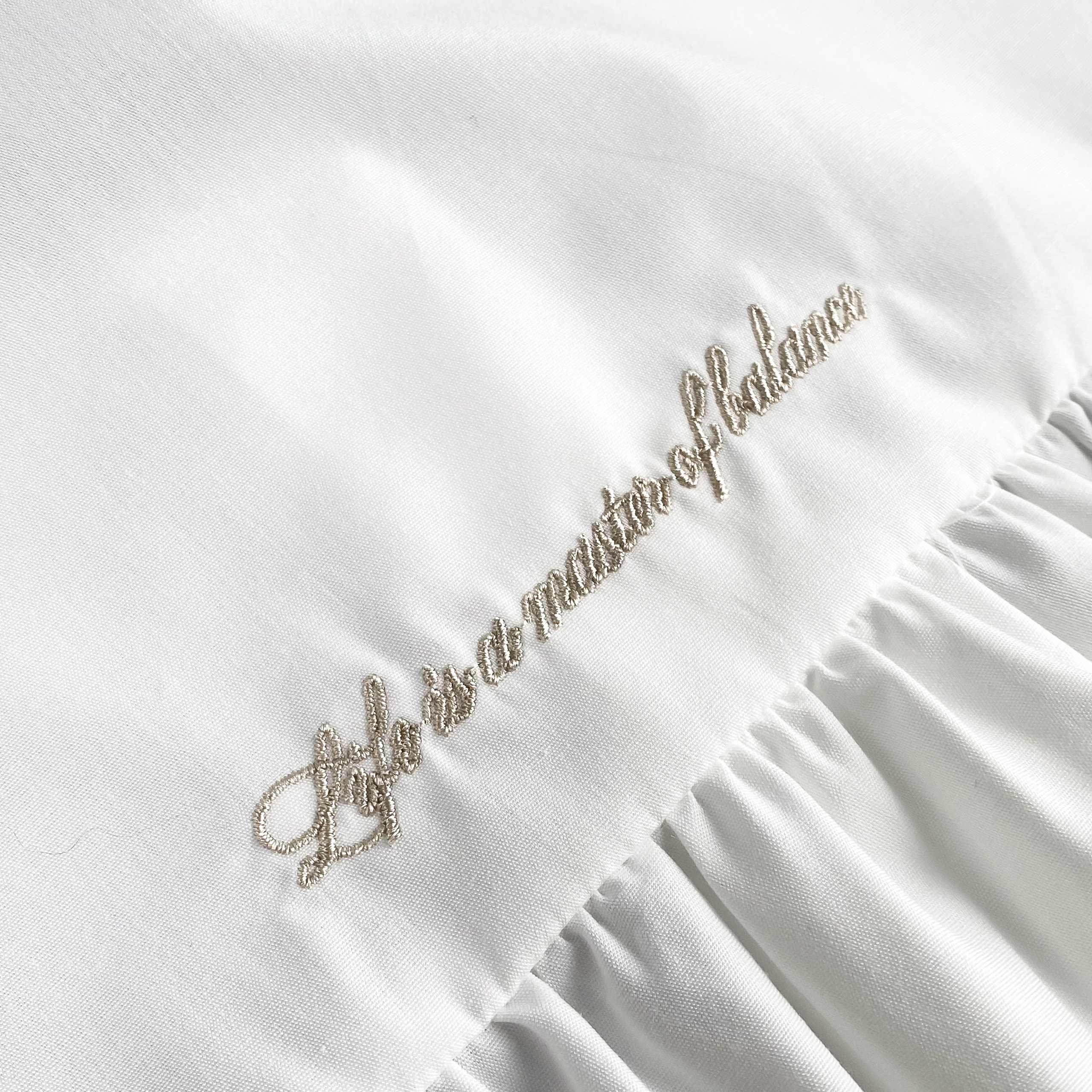 A25841 -A smi TD 1 túi nẹp sườn thêu Balance