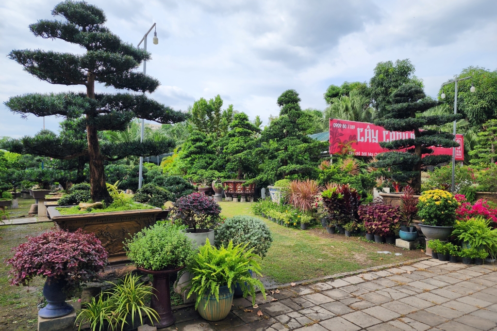 THIẾT KẾ SÂN VƯỜN