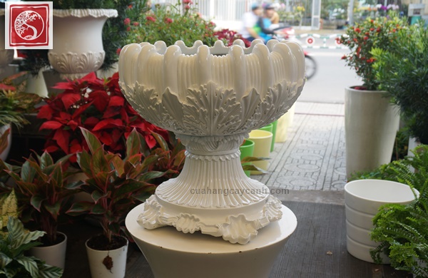 Chậu Cổ Điển W01