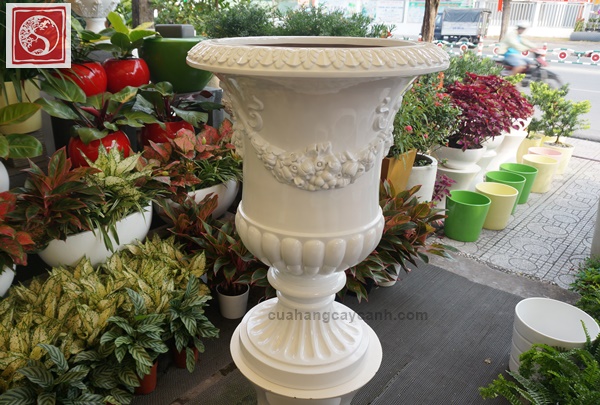 Chậu Cổ Điển W18