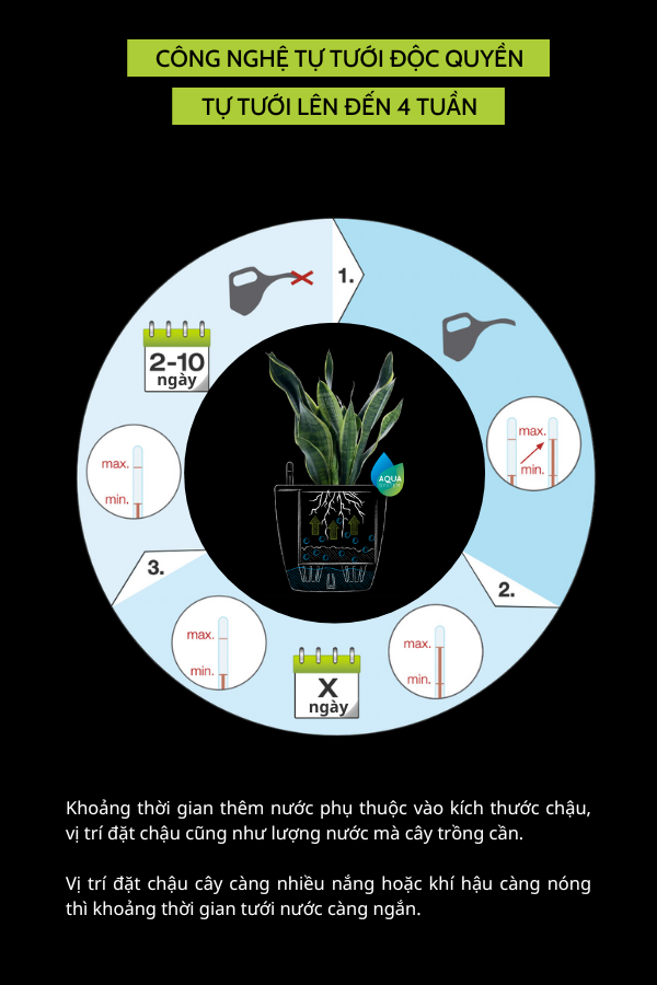 Chậu nhựa tự tưới Premium ZX