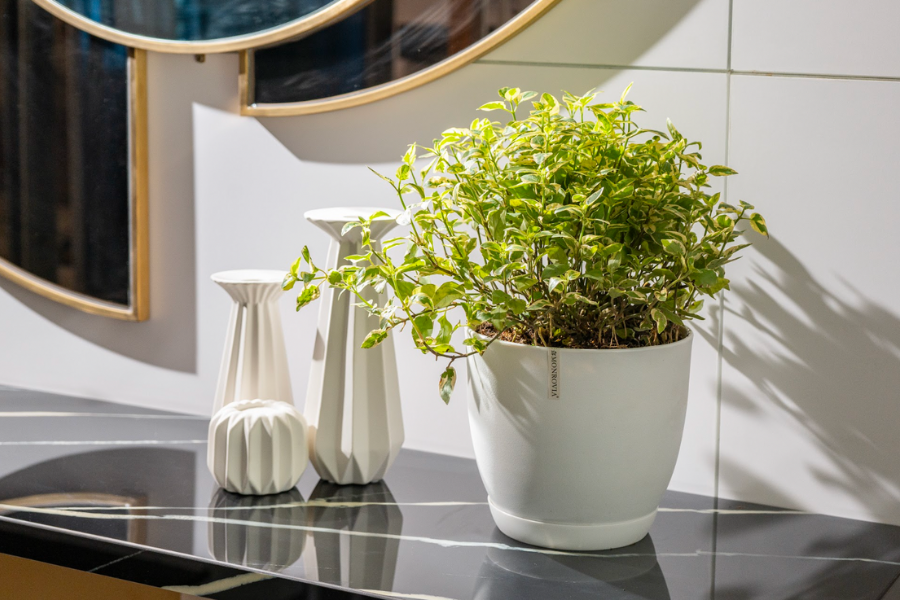 Chậu nhựa để bàn M9