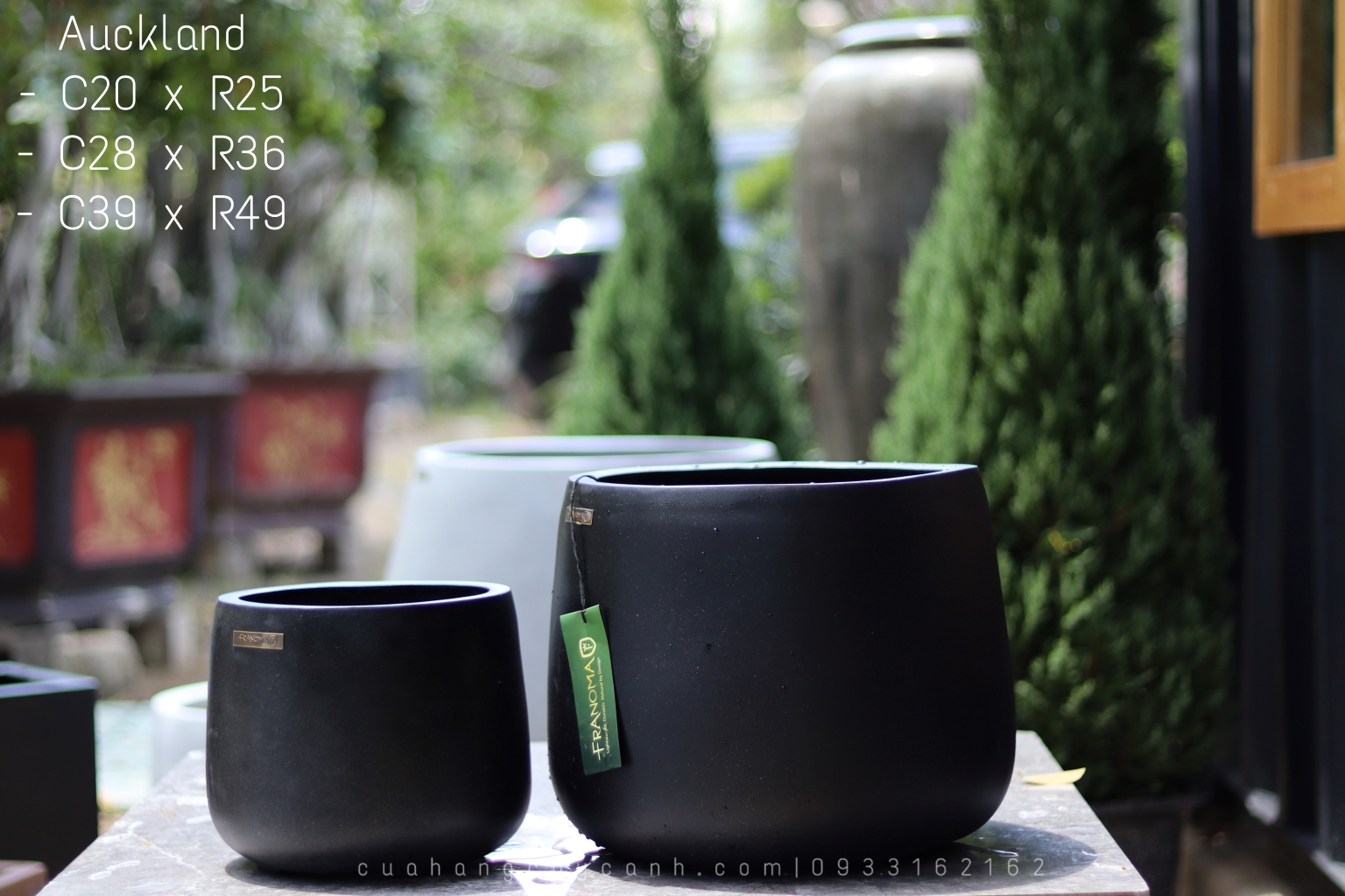 Chậu Composite Auckland