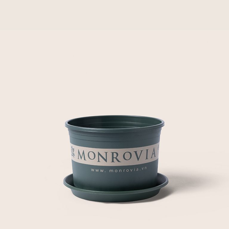 Chậu nhựa Monrovia L