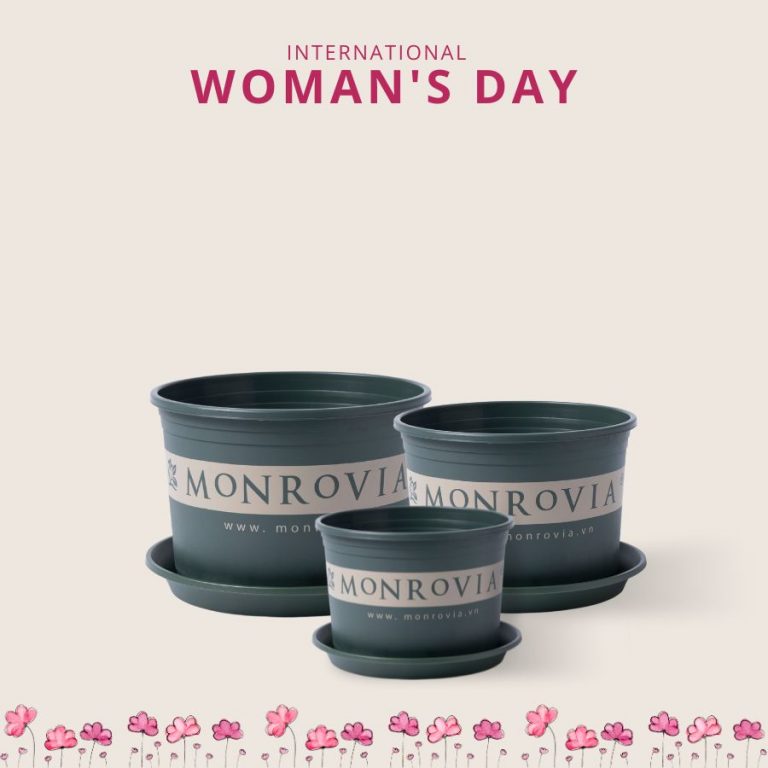 Chậu nhựa Monrovia L