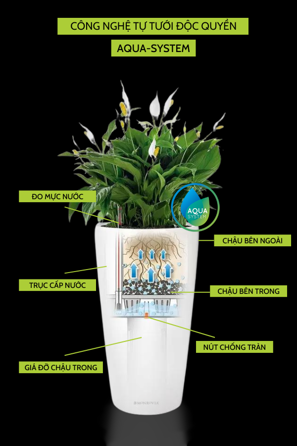 Chậu nhựa tự tưới Premium ZX