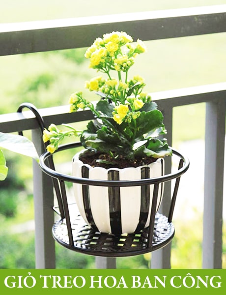 Giỏ sắt treo ban công