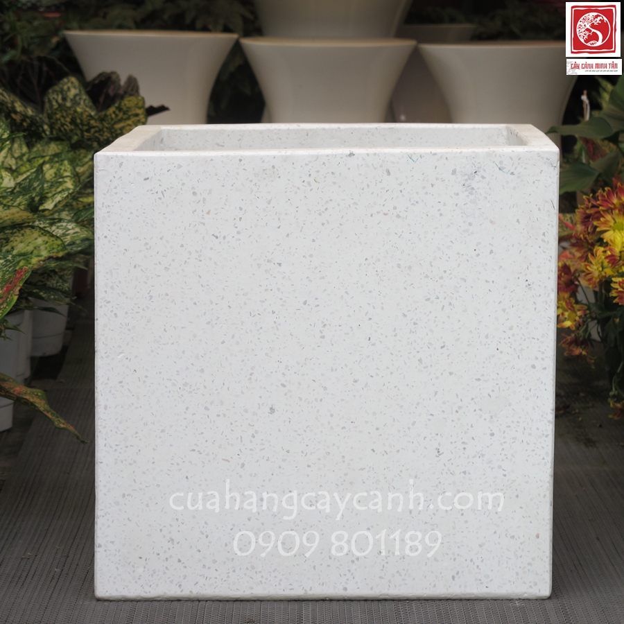 Chậu Đá Mài Vuông (nhiều size)