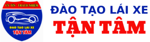 logo Daylaixetantam