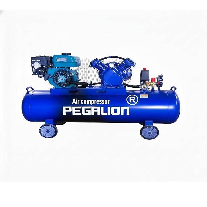 Máy Nén Khí Dây Đai Pegalion 3HP 120L TM-V-0.25/8-120L