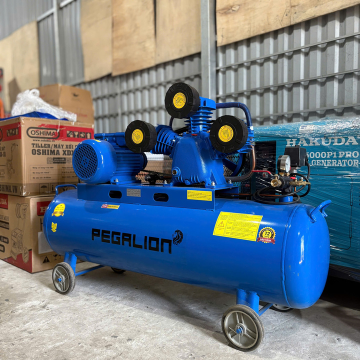 Máy Nén Khí Dây Đai Pegalion 4HP 330L TM-W-0.36/8-330L