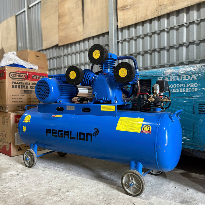 Máy Nén Khí Dây Đai Pegalion 4HP 230L TM-W-0.36/12.5-230L