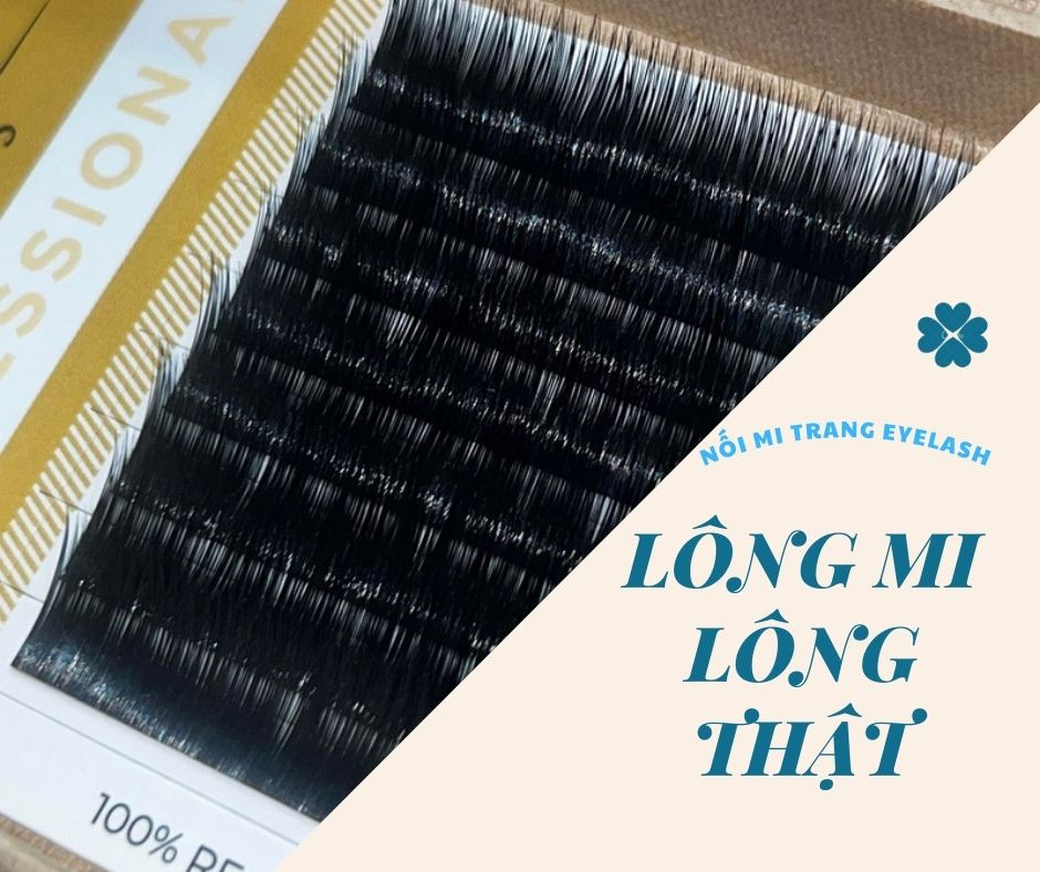 LÔNG MI LÔNG THẬT (REAL MINK FUR EXTENSION - REAL MINK)
