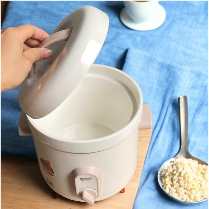 Nồi nấu chậm Bennix dung tích 3L BN-68KC-C/G