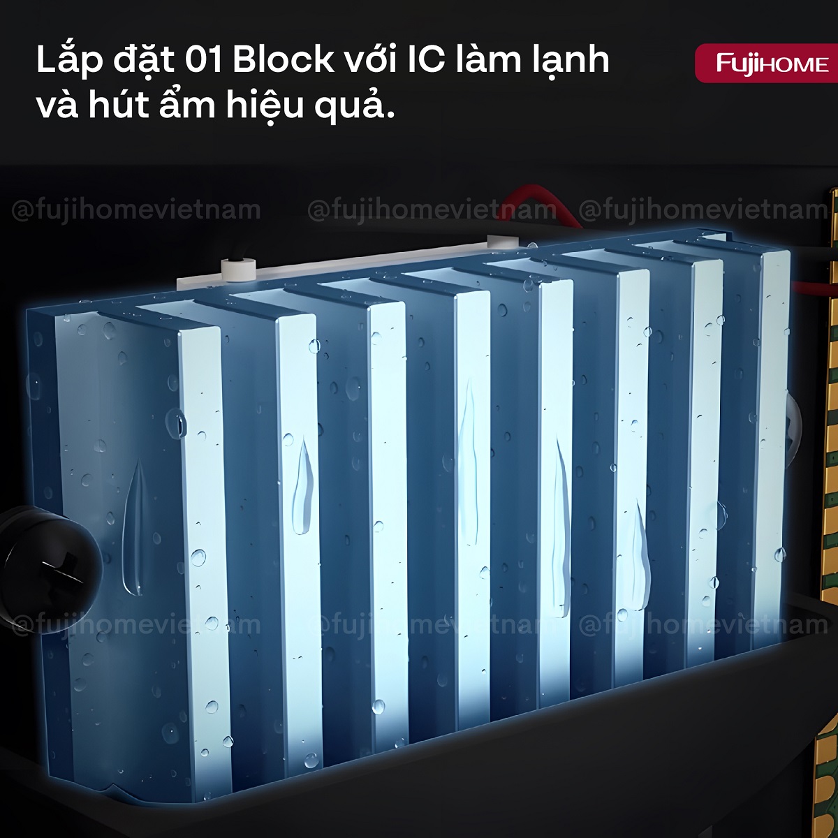 Tủ chống ẩm Fujihome DC-30M