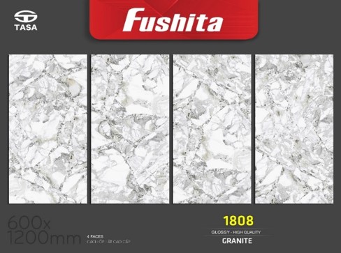 Gạch ốp lát kt 60x120