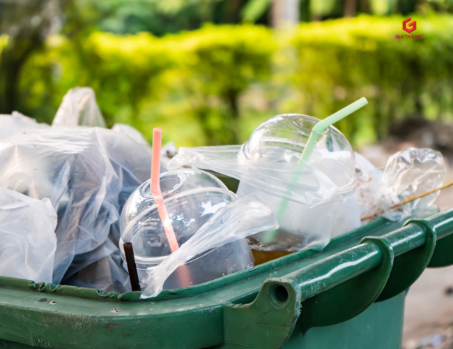 Hành vi tiêu dùng xanh tại Việt Nam – thói quen người dùng đang dần thay đổi