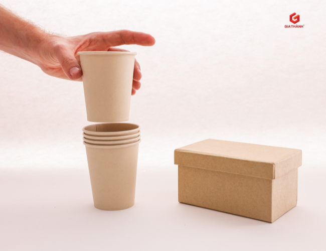 Mua ly giấy ở Hồ Chí Minh: Chọn nơi uy tín để an tâm sử dụng