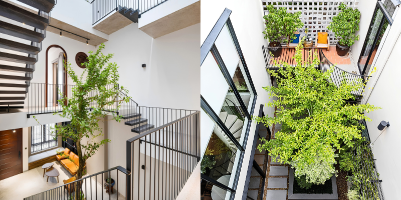 Khe thoáng khí kết hợp cây xanh cho nhà phố hẹp