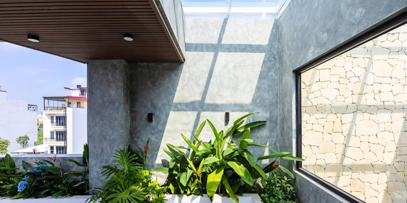 Khoảng xanh dưới giếng trời của nhà phố 
