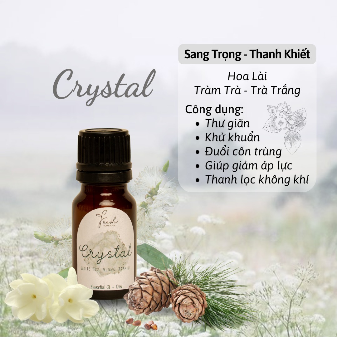 Tinh dầu thiên nhiên xông phòng