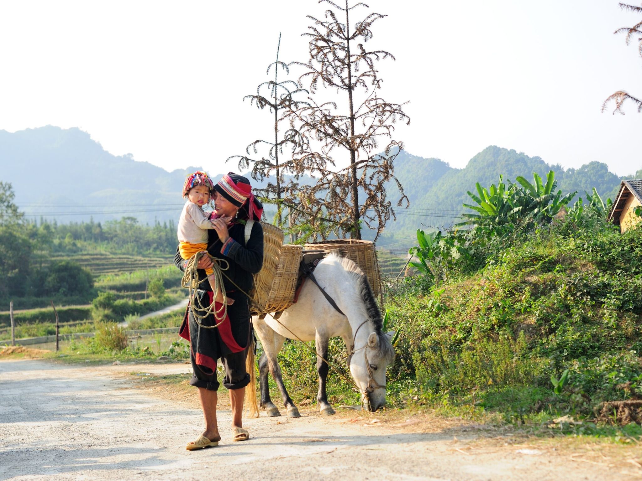 Tour Hà Giang 4 ngày 3 đêm - Khám phá vùng cực Bắc Việt Nam