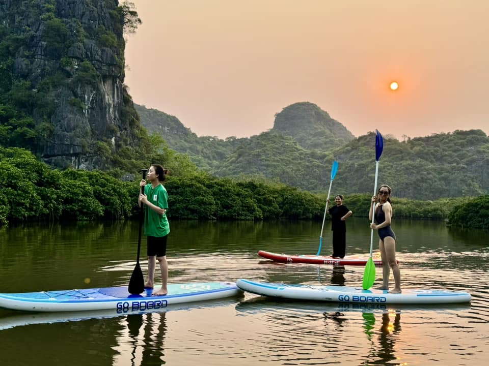 Tour rừng ngập mặn Cát Bà một ngày