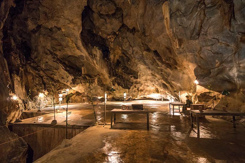 Tour Trekking nửa ngày khám phá vườn Quốc gia Cát Bà