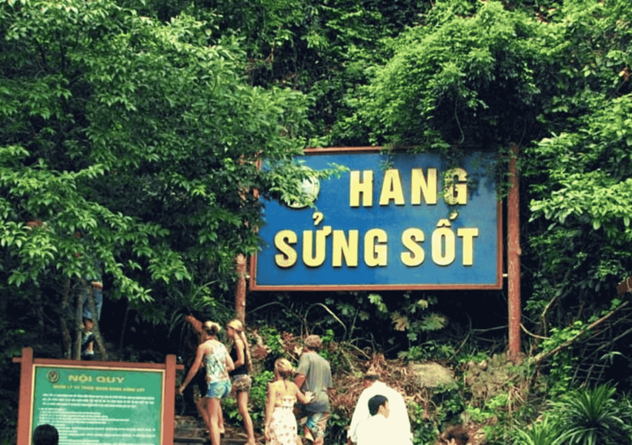 Du thuyền Phoenix Day Cruise - Khám phá Vịnh Hạ Long 1 ngày