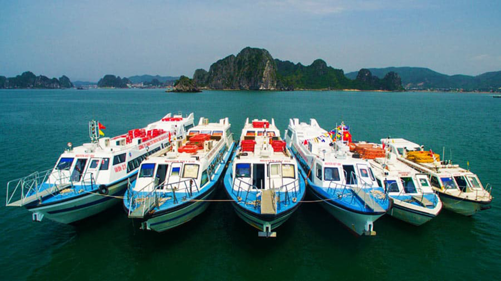 Xe Cát Bà đi Hà Nội | Xe Bus + Tàu Cao tốc