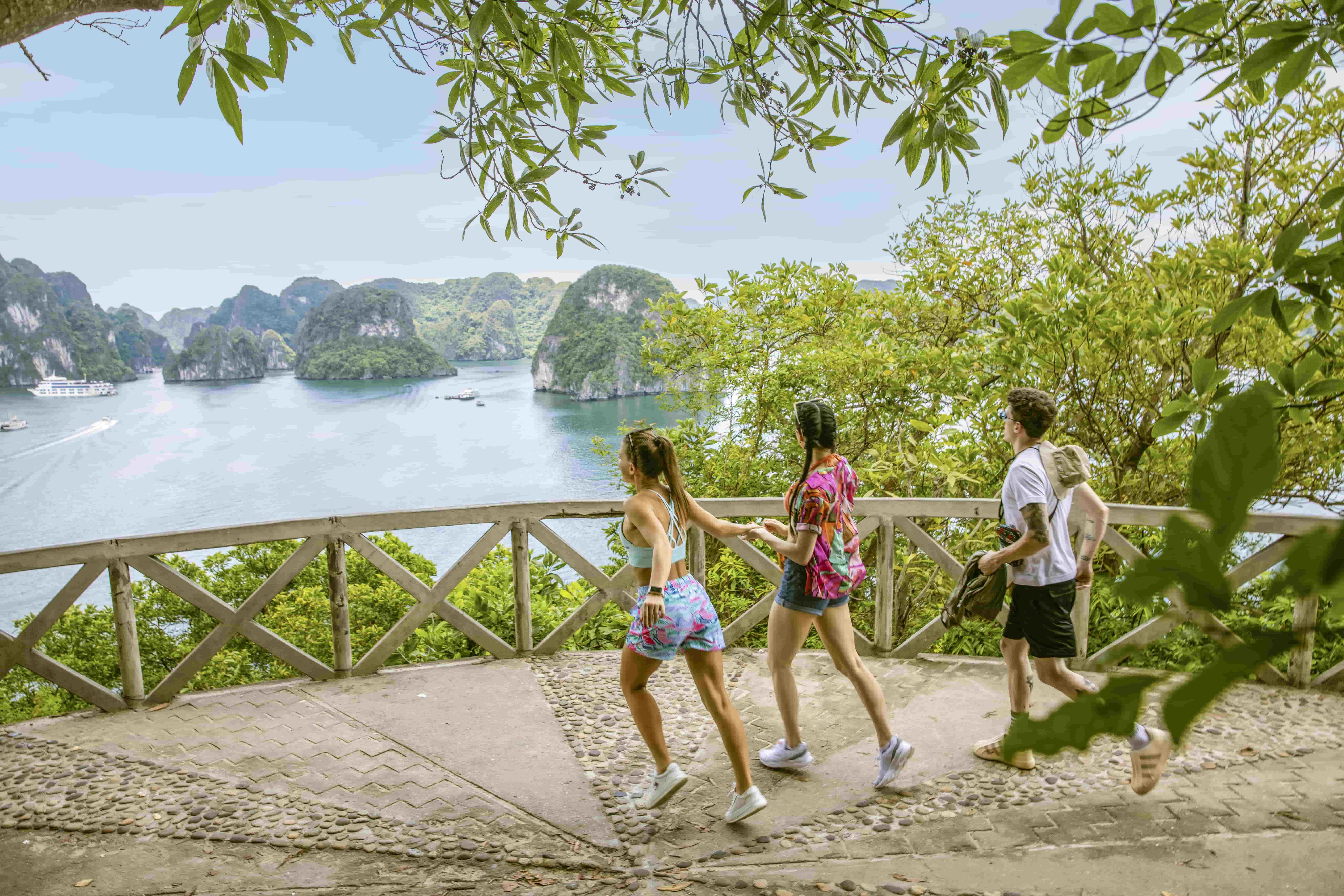 [Ambassador II] Du thuyền 5 sao khám phá Vịnh Hạ Long 1 ngày