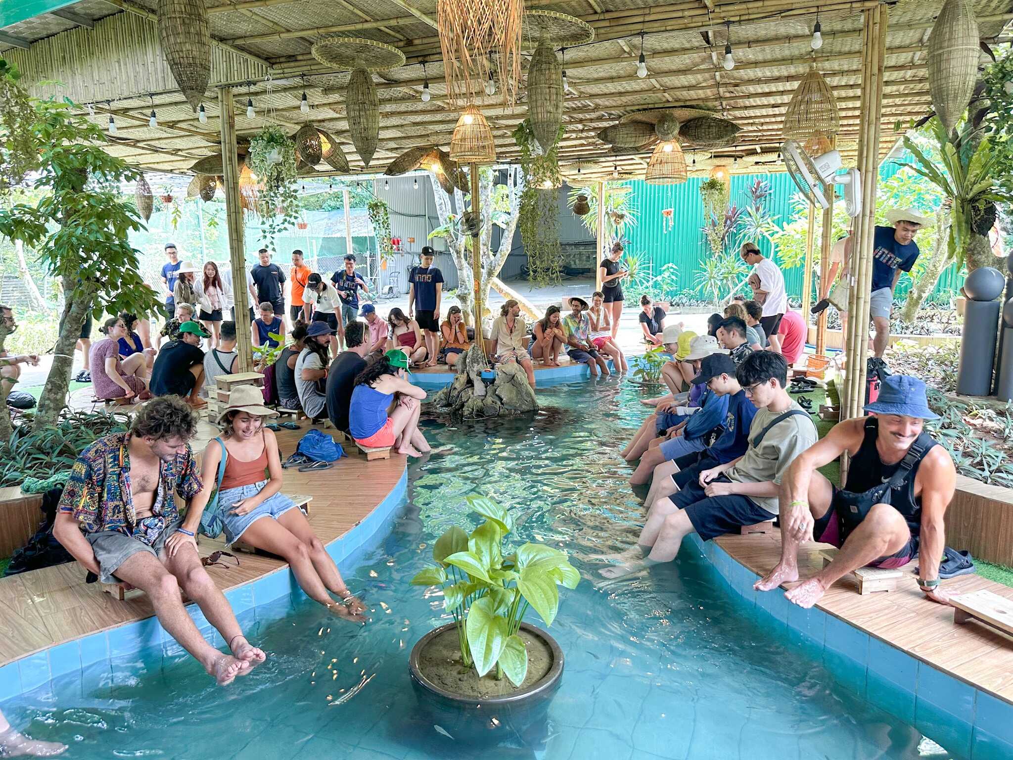 Tour Trekking xuyên rừng Quốc gia Cát Bà 1 ngày