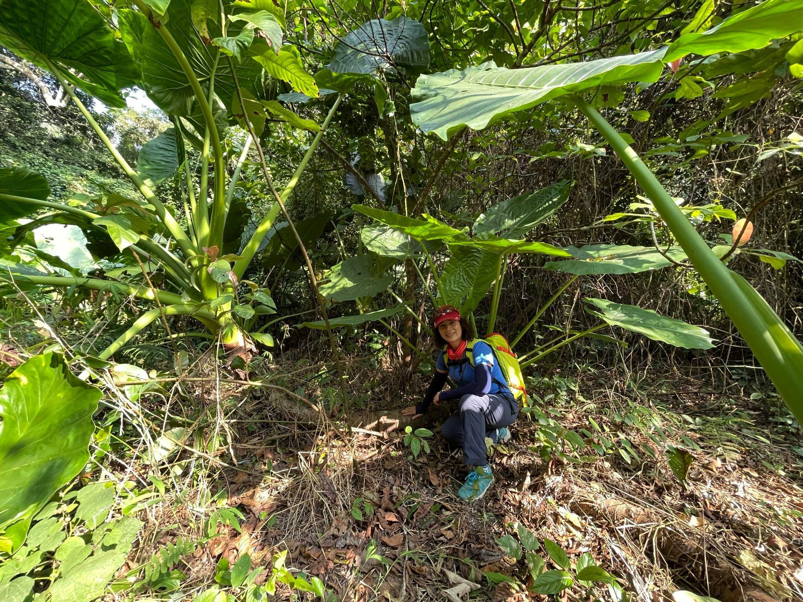 Tour Trekking xuyên rừng Quốc gia Cát Bà 1 ngày