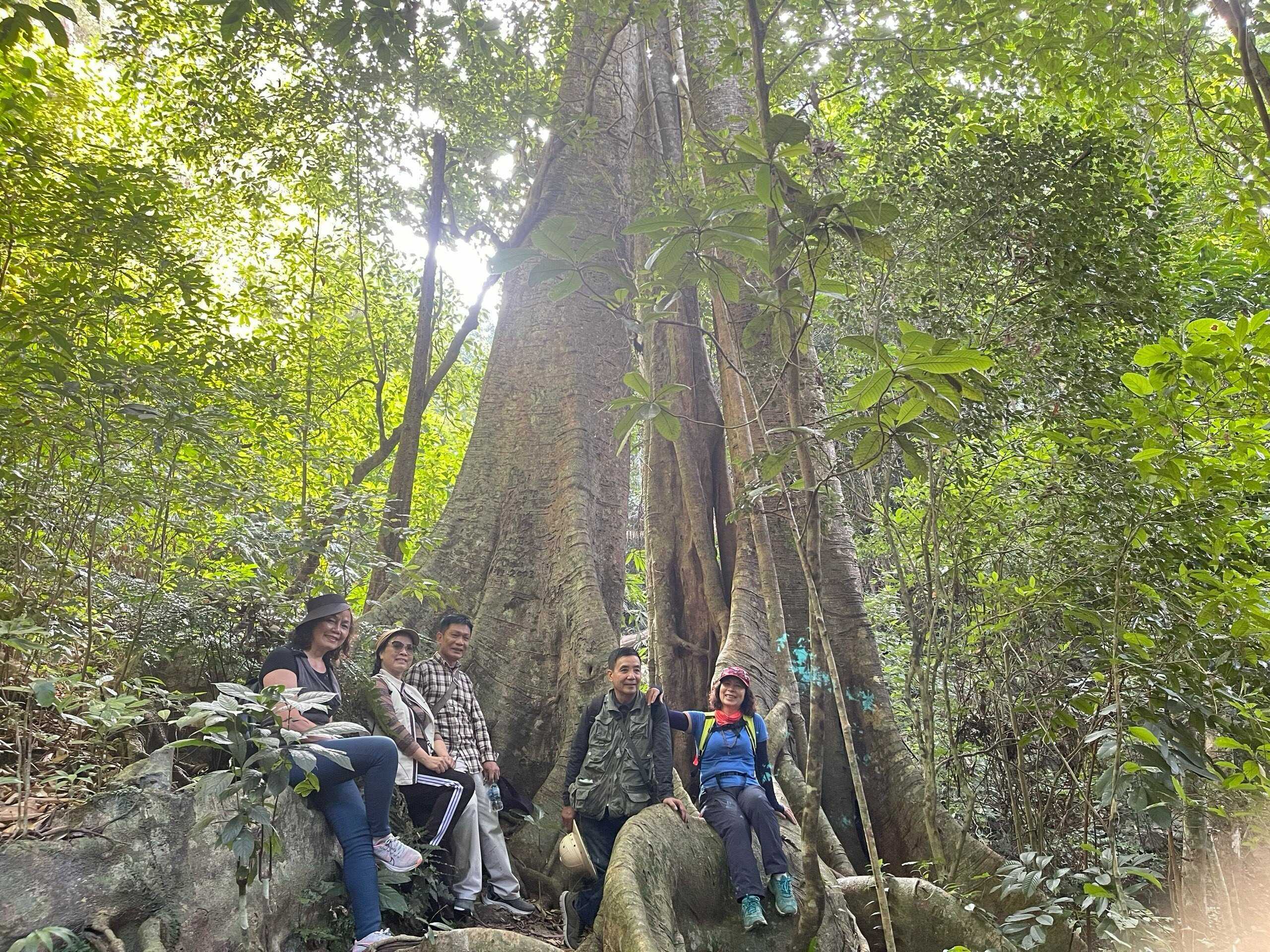 Tour Trekking xuyên rừng Quốc gia Cát Bà 1 ngày