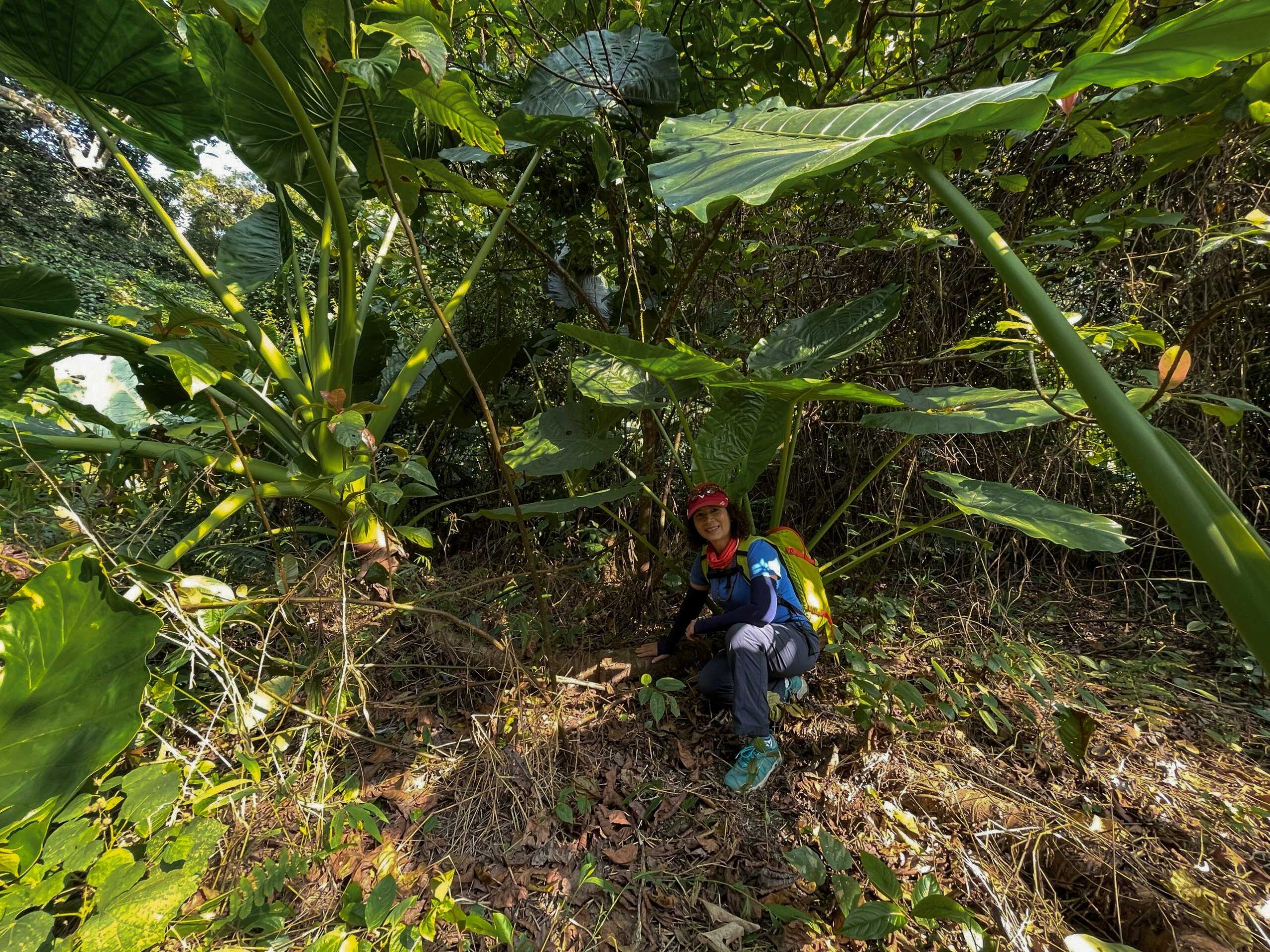 Tour Trekking xuyên rừng Quốc gia Cát Bà 1 ngày