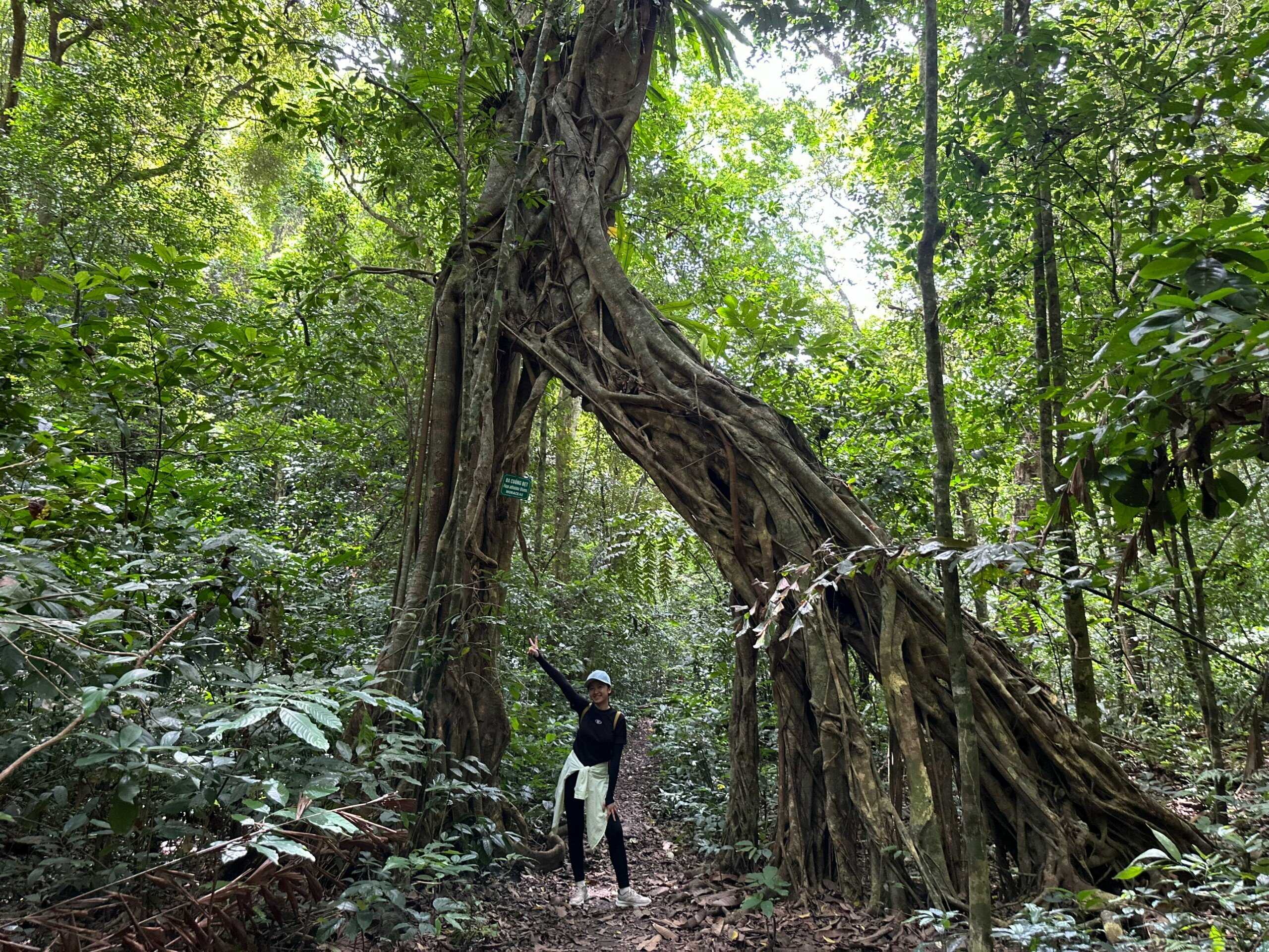 Tour Trekking xuyên rừng Quốc gia Cát Bà 1 ngày