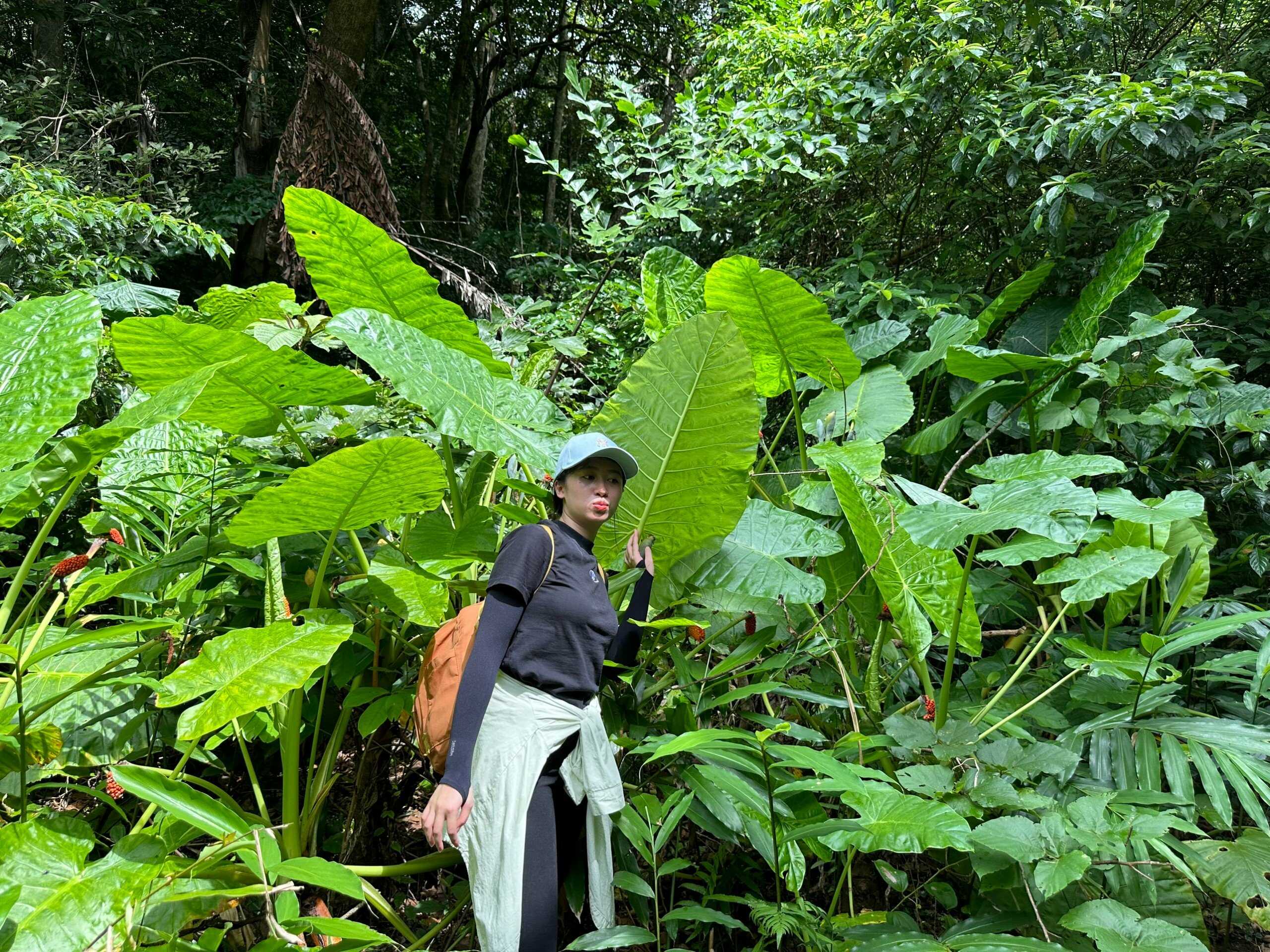 Tour Trekking xuyên rừng Quốc gia Cát Bà 1 ngày