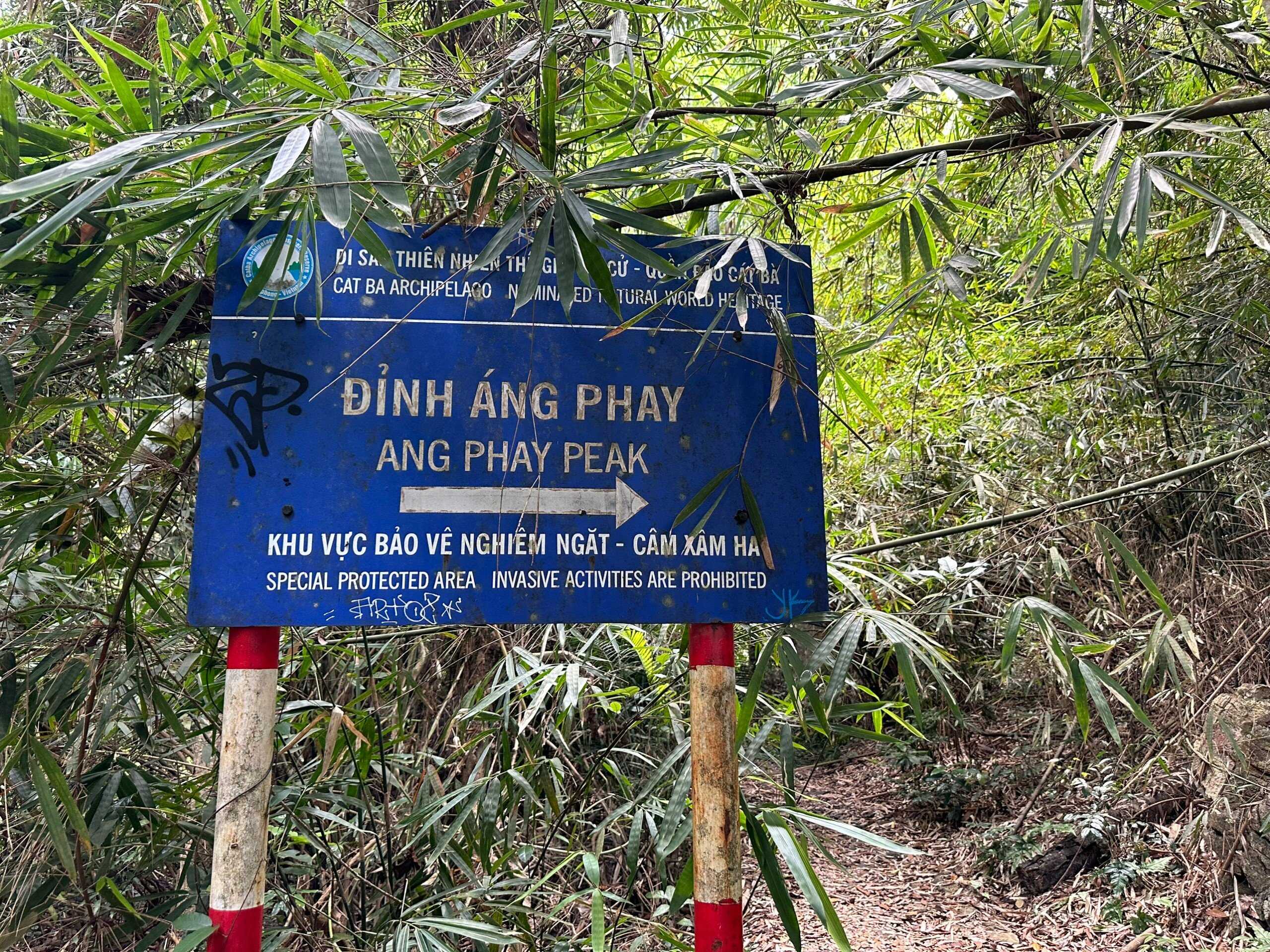 Tour Trekking xuyên rừng Quốc gia Cát Bà 1 ngày
