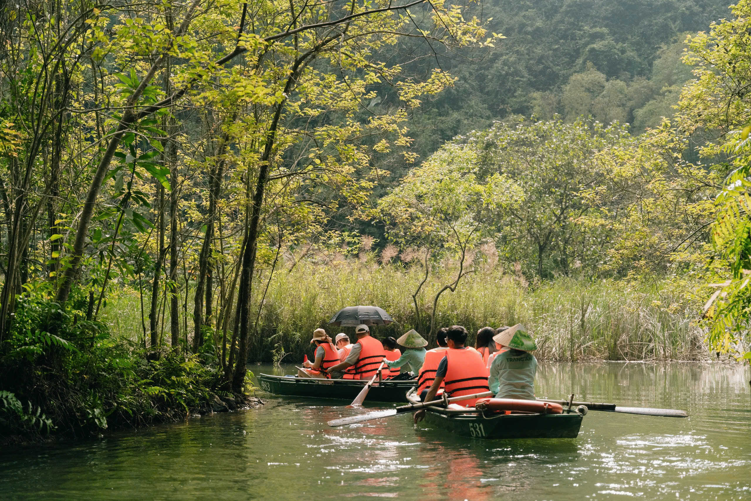 Tour Ninh Bình 1 ngày - Bái Đính - Tràng An 1 ngày