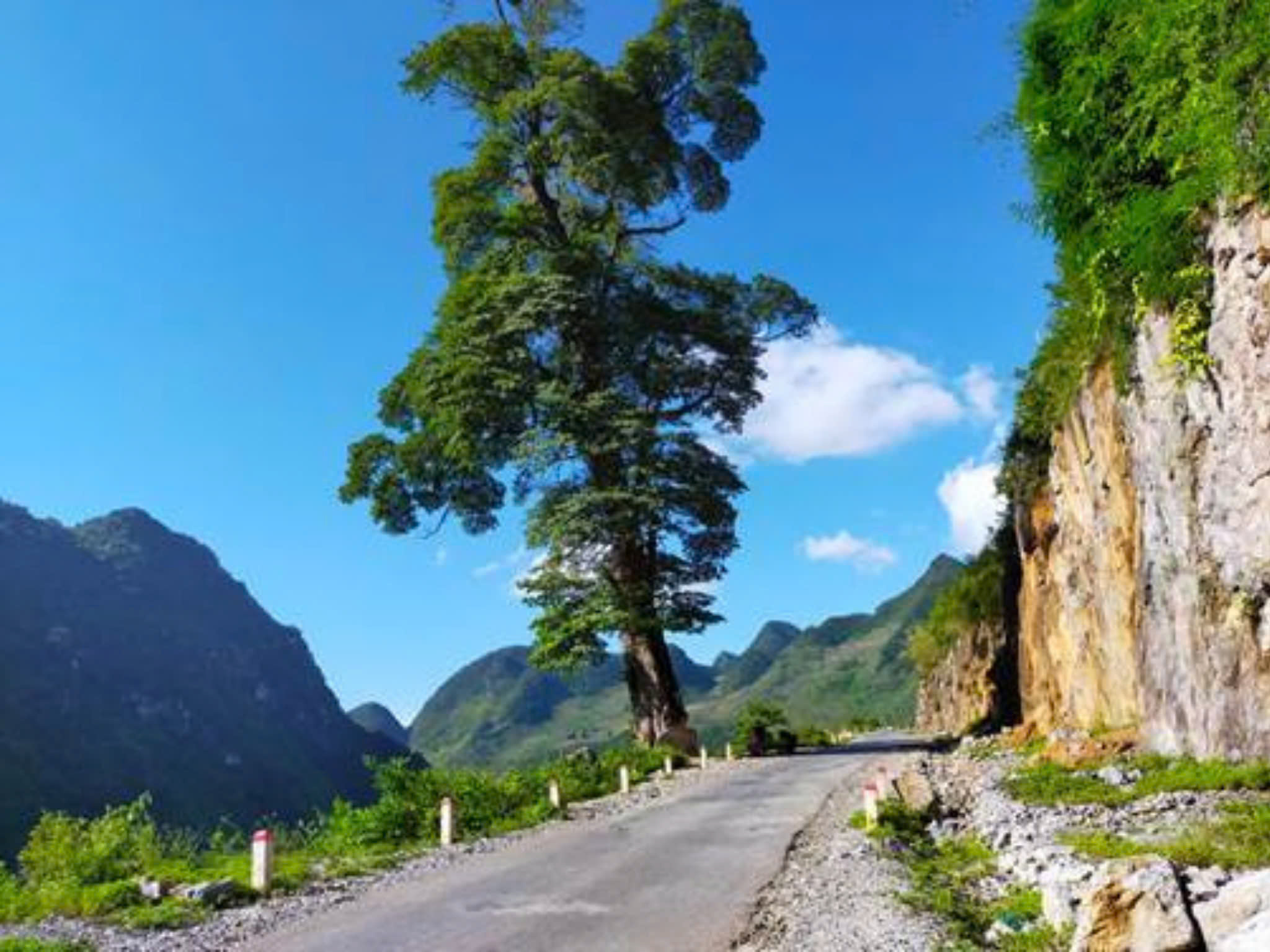 Tour Hà Giang 3 Ngày 2 Đêm từ Hà Nội | Ngủ Đồng Văn + Pả Vi