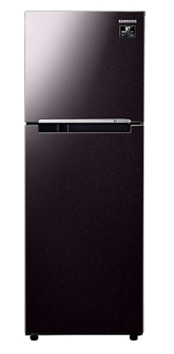 Tủ lạnh Samsung Inverter 236 lít RT22M4032BY/SV